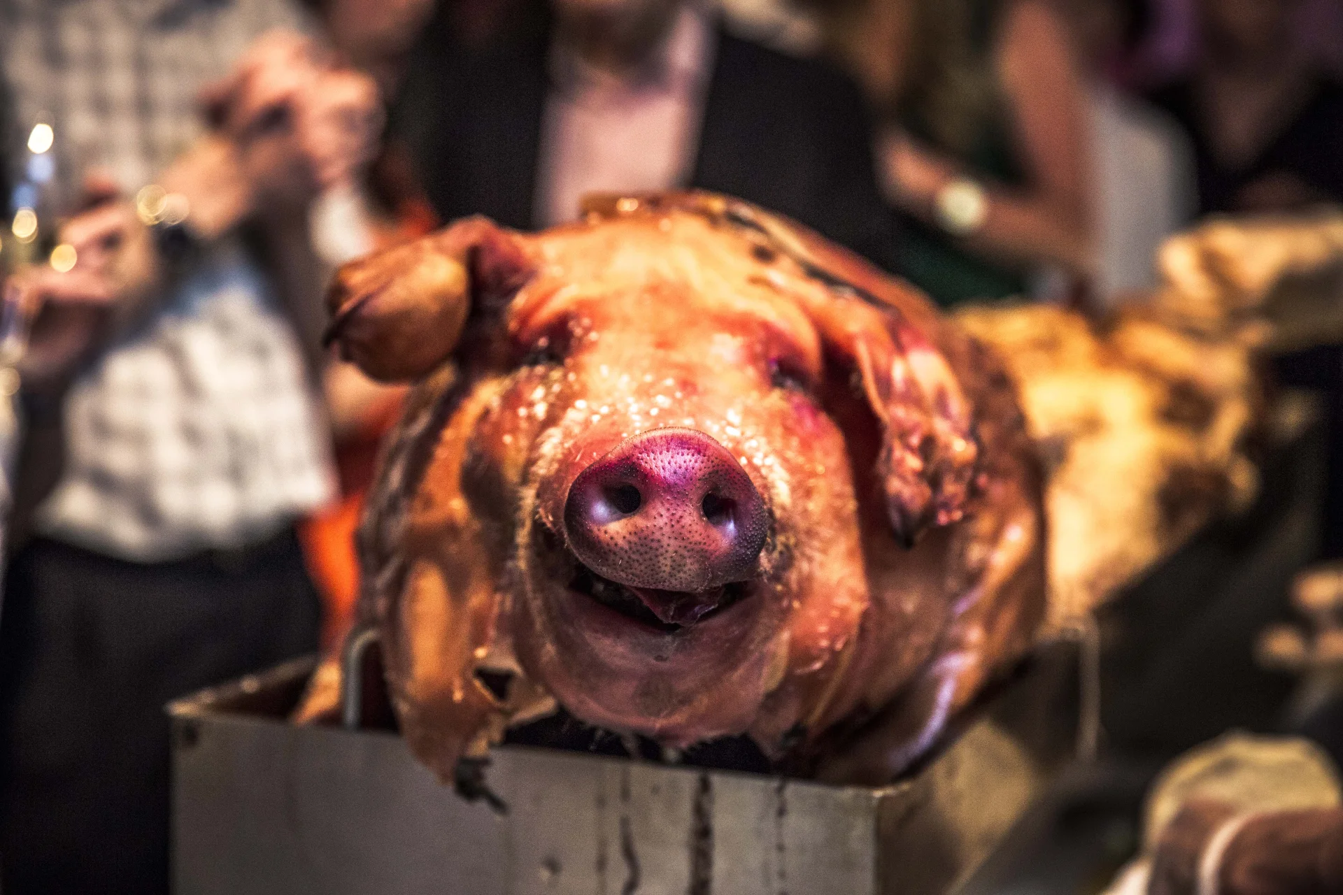 Whole roasted hog at a Trufflehunters Yorkshire event — the centrepiece of every celebration