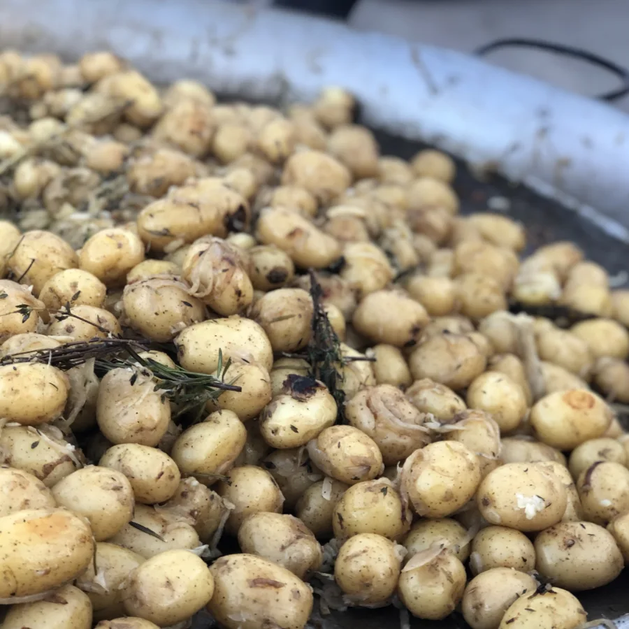 Roasted new potatoes with rosemary and thyme fresh from the spit at a Trufflehunters event